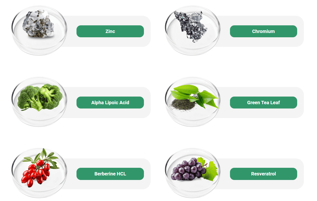 vertigenics ingredients